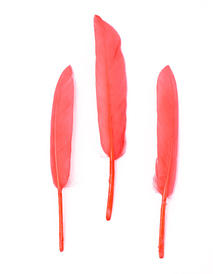 Hajékszer colored feather hair ornament Pink AFROline (1pc)-1